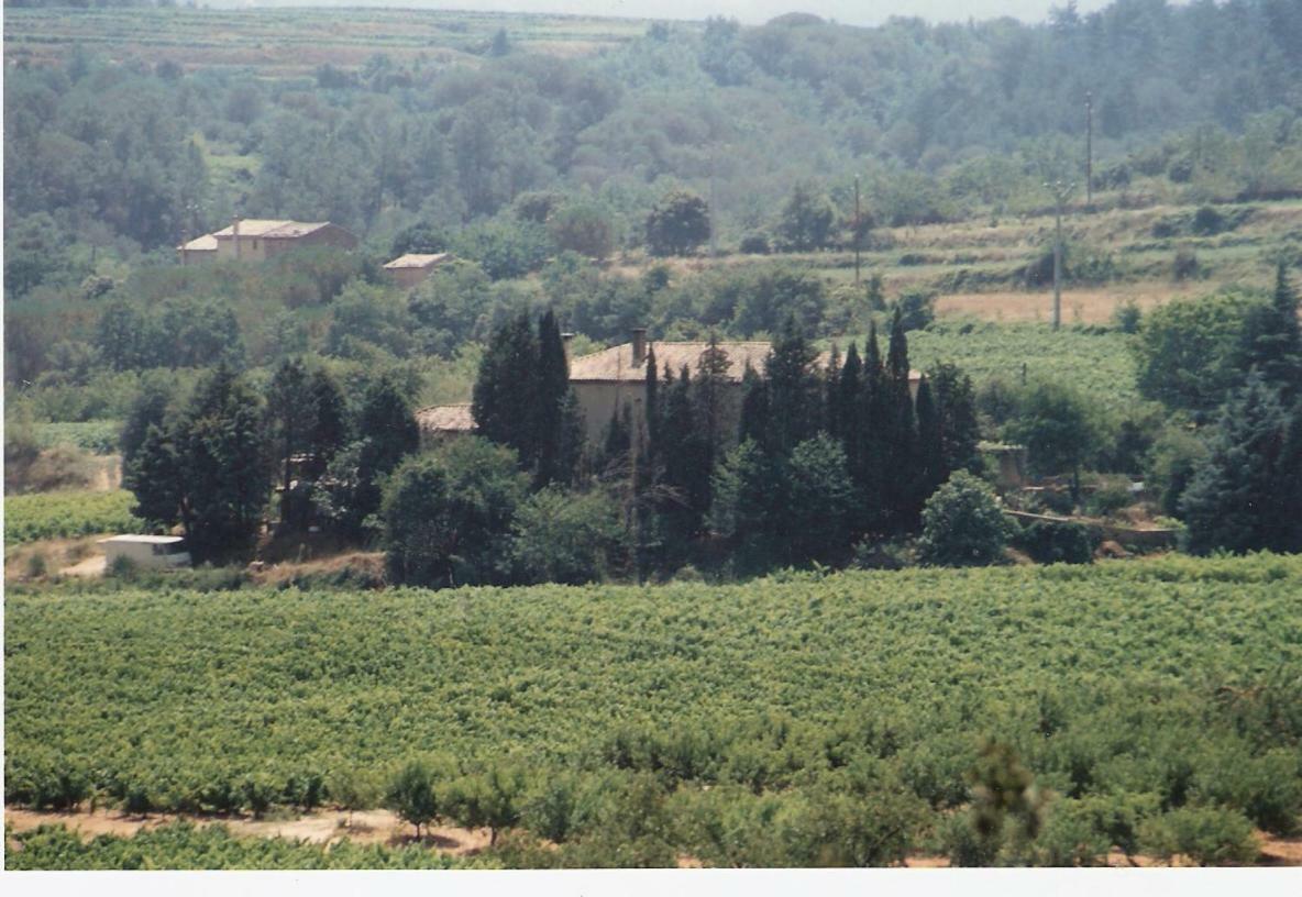 Domaine Chanoine Rambert Saint-Andre-d'Olerargues Экстерьер фото